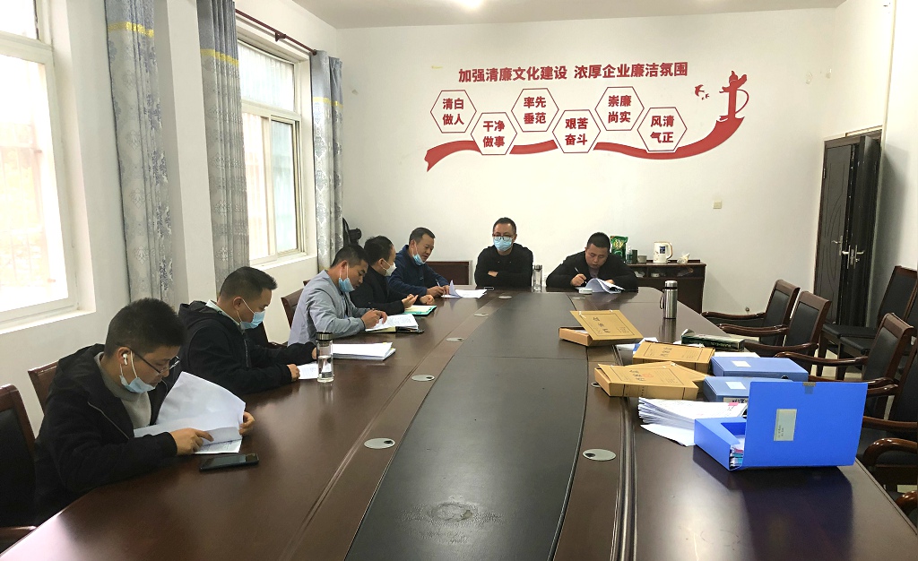 江夏區(qū)靈山工礦廢棄地復墾利用試點項目一期工程（類壤土噴播工程、主動防護網及掛網栽植工程）竣工初步驗收會議圓滿結束