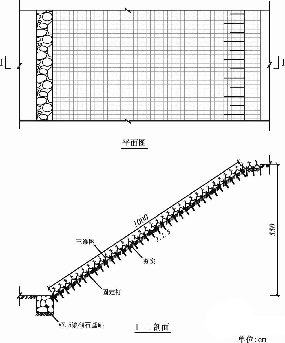 三維植被網護坡植草技術